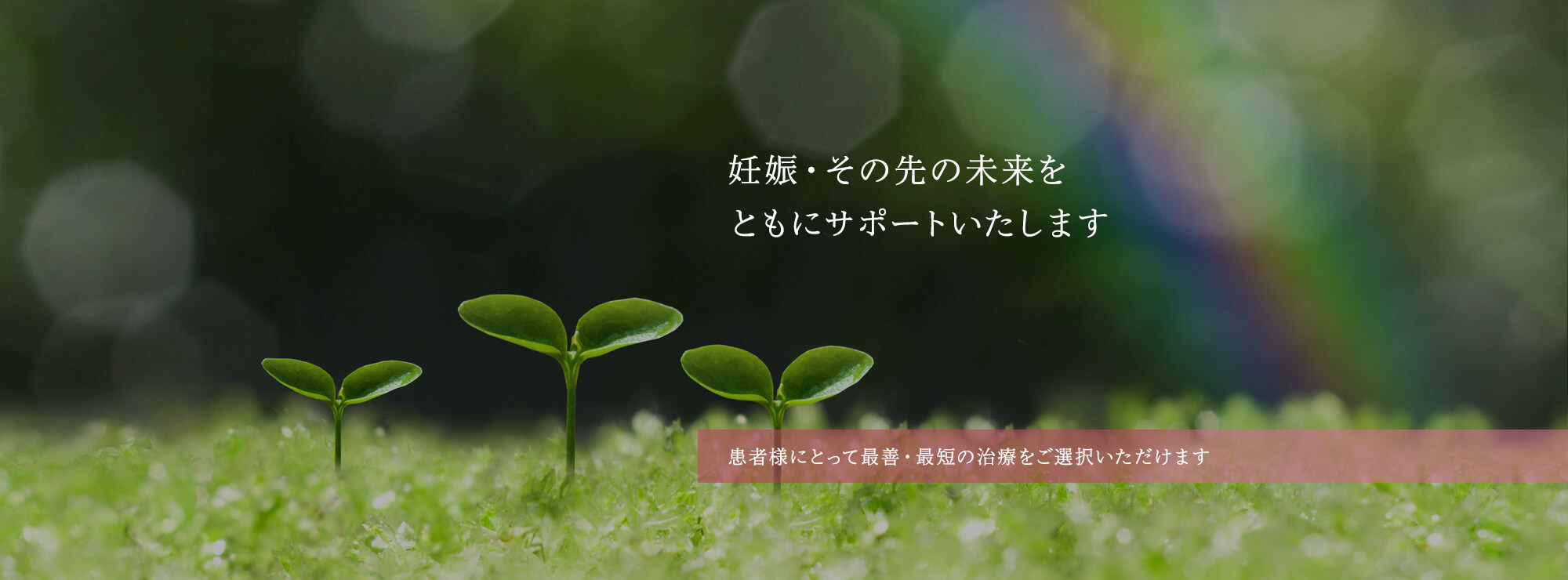 四条烏丸の婦人科で妊娠・その先の未来をともにサポートいたします