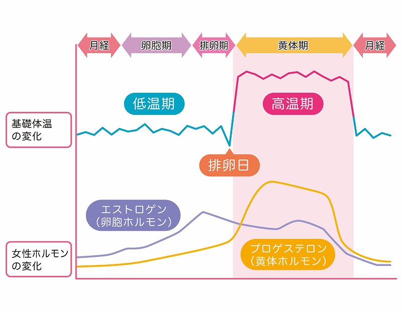 女性の基礎体温